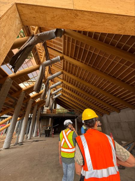 Interior construction view showing the Indigenous Centre timber roof and supporting columns.