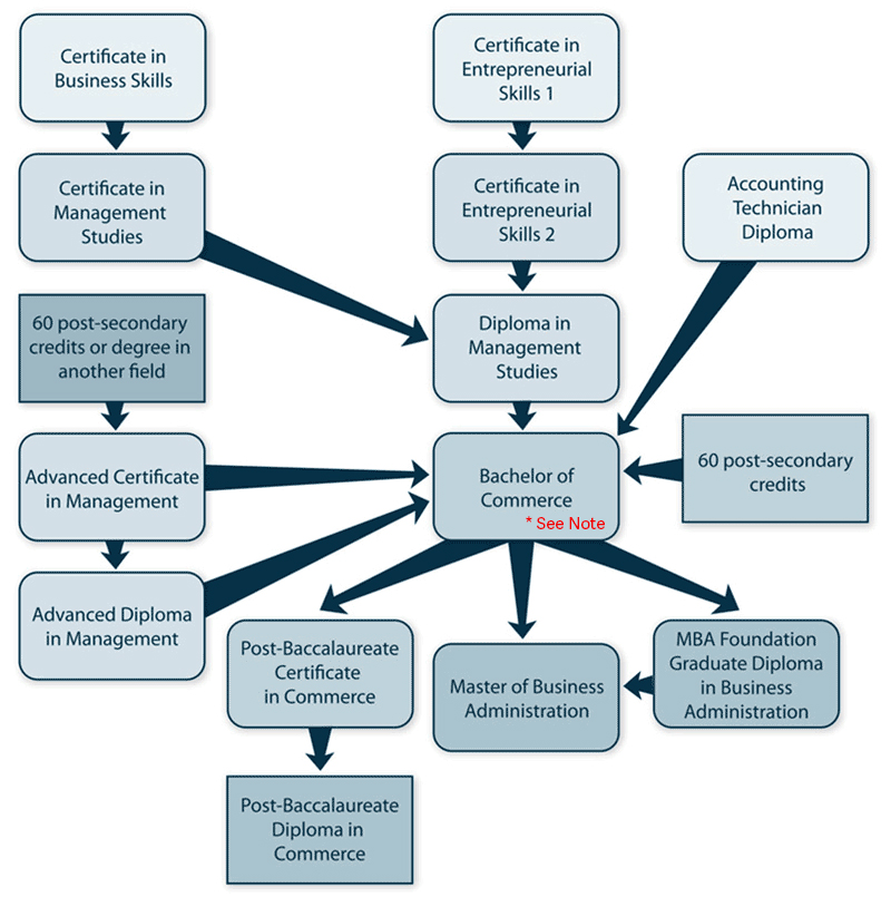 Infographic of pathways for business programs