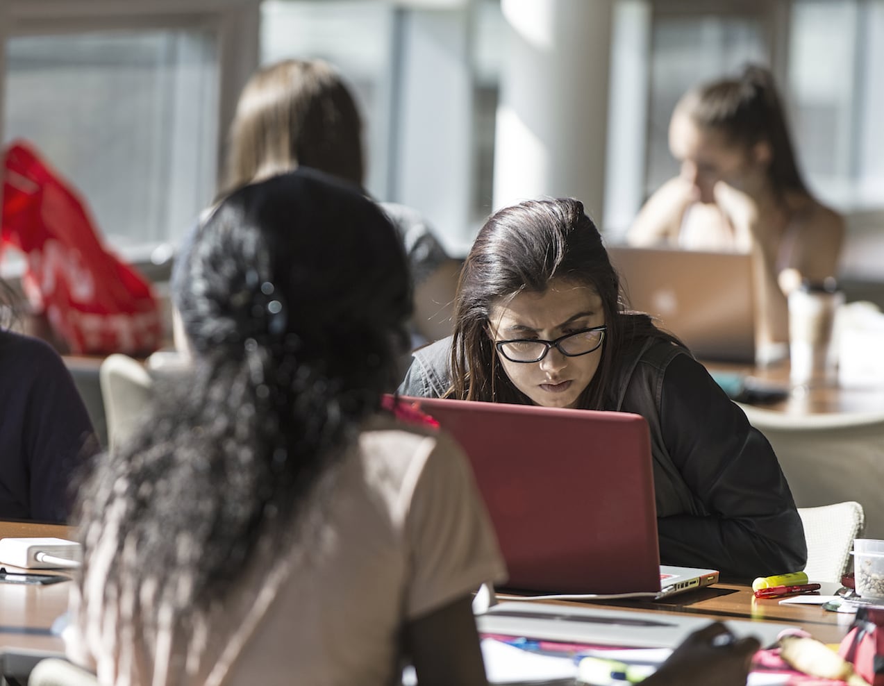 Students studying